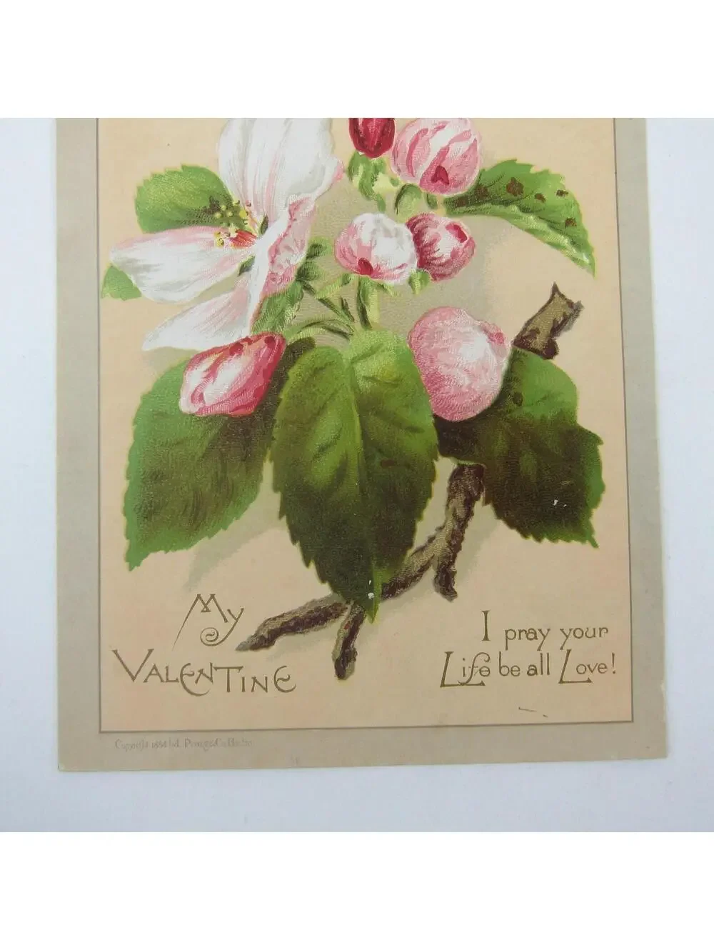 Victorian Greeting Card Valentine Pink White Apple Blossom Flowers Antique 1884